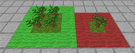 An oak requires a 1&215;1 column of unobstructed space at least 4 blocks above its sapling to grow (5 blocks including the sapling itself). . Minecraft dark oak sapling not growing